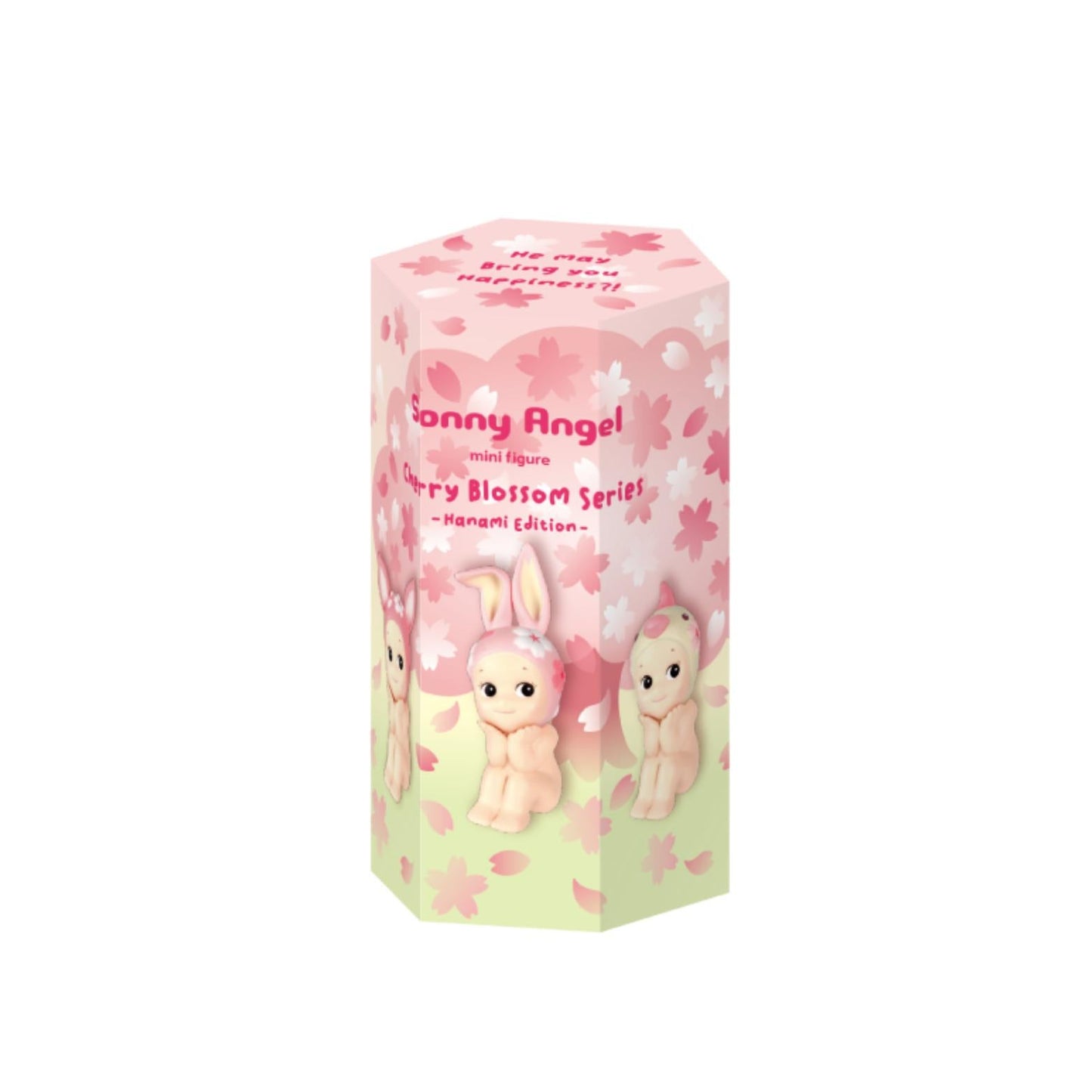 Cherry Blossom Series- Hanami Edition