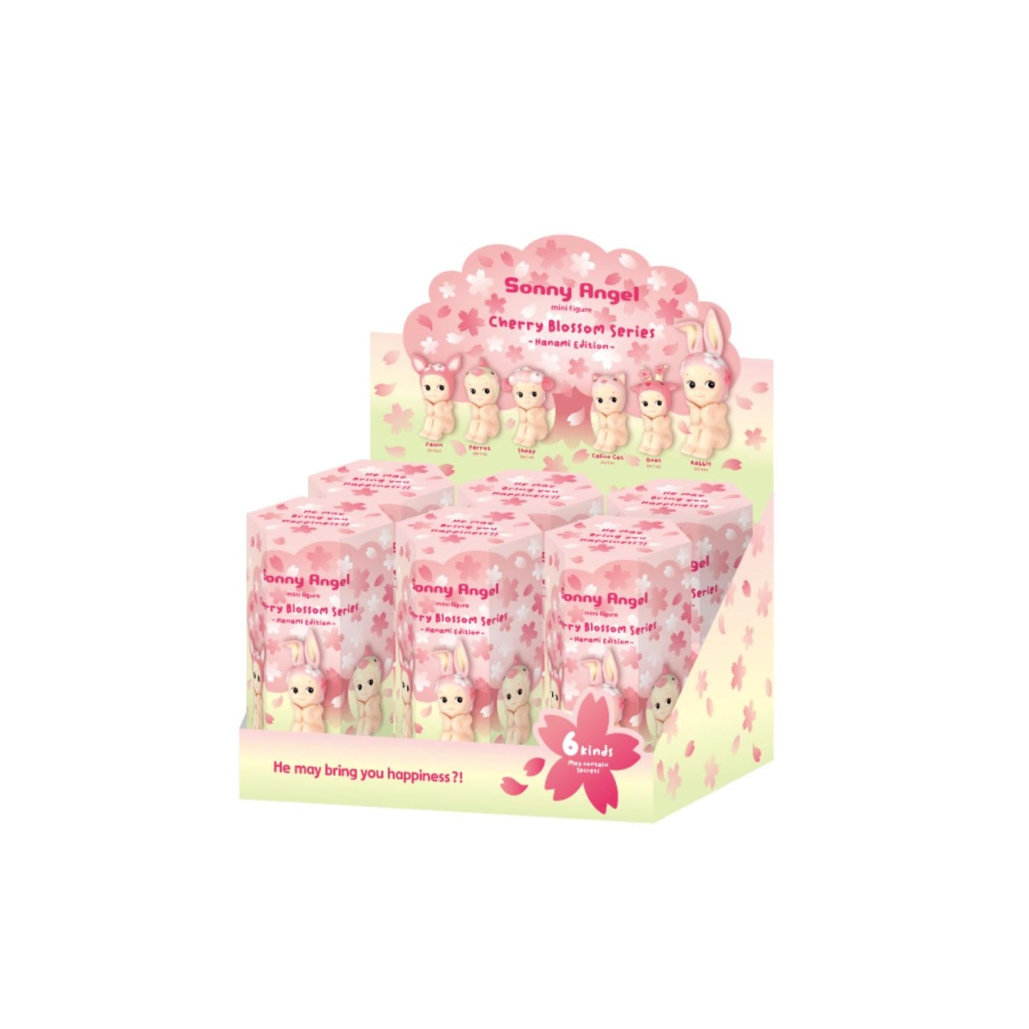 Cherry Blossom Series- Hanami Edition